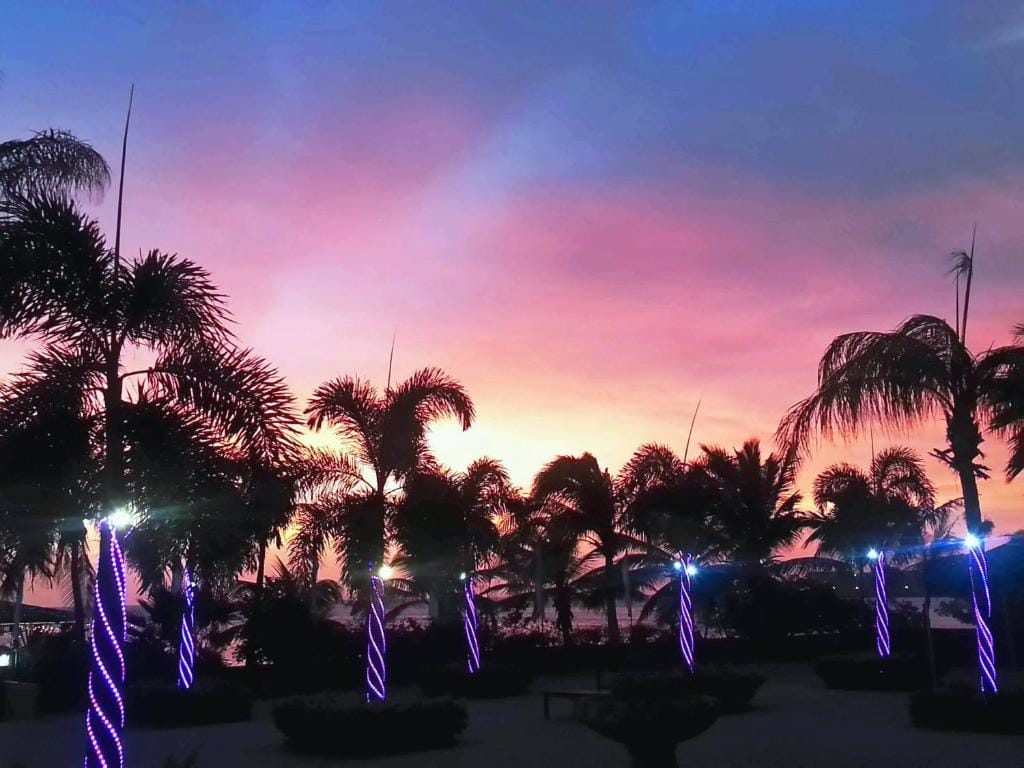 Aruba Surfside Marina — 1