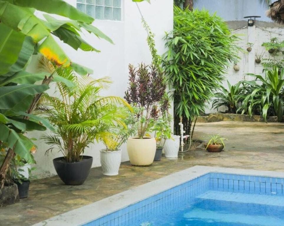 Manoha Villa — 3
